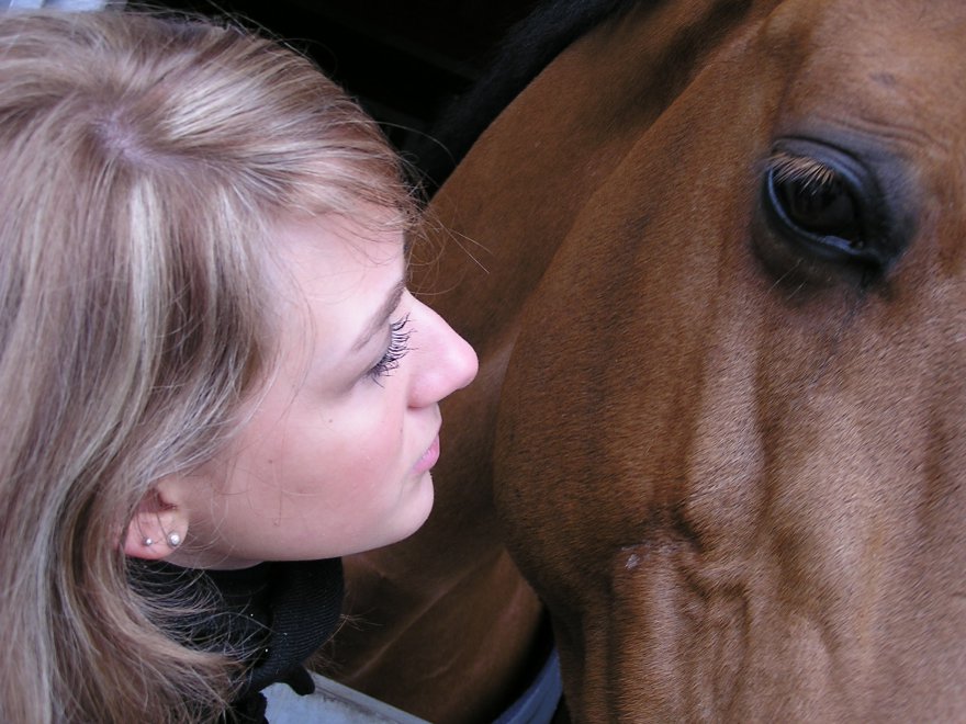 Coaching mit Pferden,Pferde,Körpersprache Foto: © jaeggimedia.jpeg @ AdobeStock