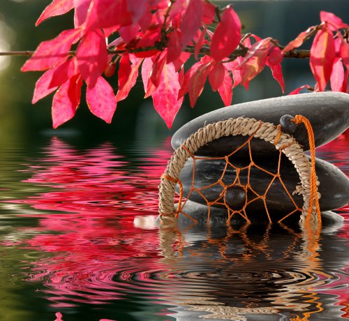  Foto: ©  Gerhard Seybert.jpeg @ AdobeStock