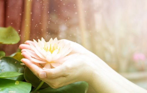  Foto: ©  BlurryMe @ shutterstock