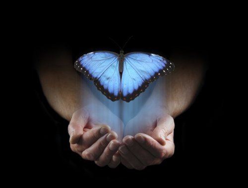  Foto: ©  Nikki Zalewski @ shutterstock