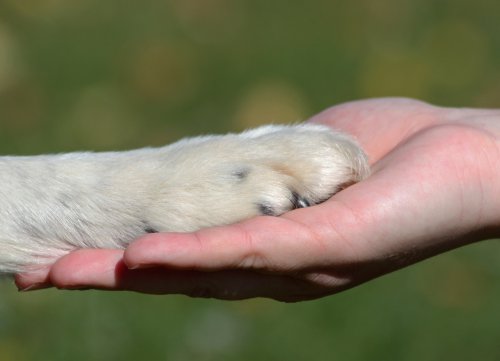  Foto: ©  kontessina.jpeg @ AdobeStock