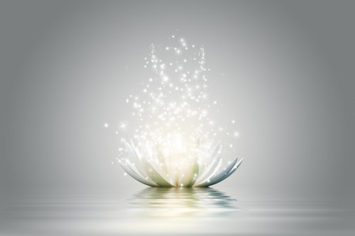  Foto: ©  Vadim Georgiev @ shutterstock