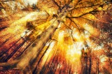Astralreisen Foto: ©  Smileus @ Fotolia