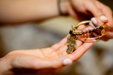 Hand der Fatima Foto: ©  Irina Montero @ shutterstock