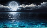 Mond Foto: ©  Romolo_Tavani @ Fotolia