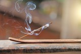 Ruchern Foto: ©  Napoleonka.jpg @ shutterstock