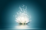 Weissmagisch Foto: ©  CRimages @ AdobeStock
