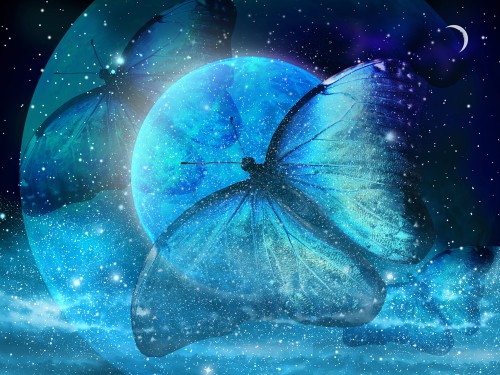 Mondrituale Foto: ©  suns07butterfly @ shutterstock