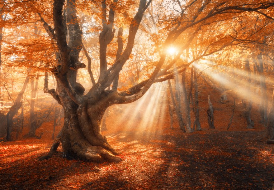 Äthermagie Foto: © Denis Belitsky @ shutterstock