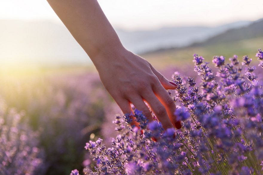 Anziehung Foto: © Grigor.jpeg @ AdobeStock