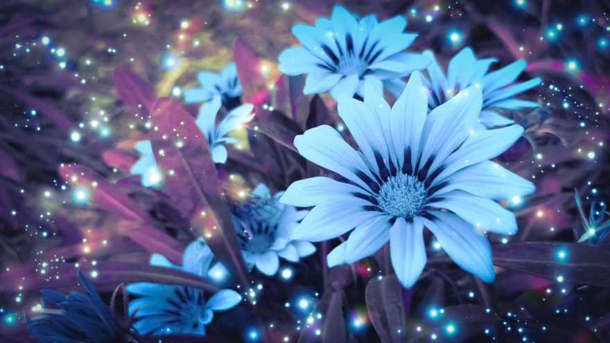 Blumenmagie Foto: © Printemps_PhotoArt @ shutterstock