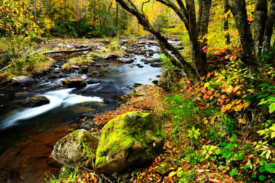 Elemente Foto: © Malachi Jacobs @ shutterstock