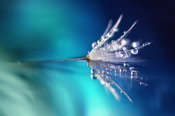 Analogiezauber Foto: © LedyX @ shutterstock