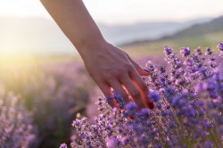 Anziehung Foto: © Grigor.jpeg @ AdobeStock