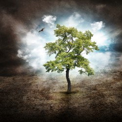 Baum des Lebens Foto: © Haywiremedia @ shutterstock