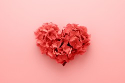 Beziehungsmagie Foto: © Julia Manga @ shutterstock