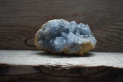 Coelestin Foto: © Heidi Fihlman @ shutterstock