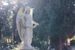 Engelszahl 777 Foto: © Georg Hummer.jpeg @ AdobeStock