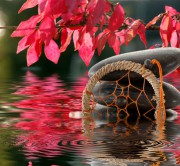 Traumdeutung - die faszinierende Welt der Träume entdecken Foto: © Gerhard Seybert @ Fotolia