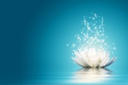 Numerologie - Zahlen für die Liebe? Foto: © Vadim Georgiev @ shutterstock