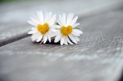 Liebeszauber - Unterstützung in Liebesdingen Foto: © Peter Heckmeier @ Fotolia