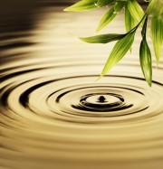 Feng Shui: diese Objekte sind Gift für das Energiefeld Ihres Hauses Foto: © Nejron Photo @ shutterstock
