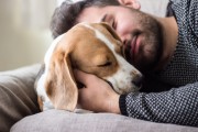 Was will mir mein Tier sagen? Tipps, mit denen Sie Ihr Tier interpretieren und verstehen können Foto: © asia.marangio @ shutterstock
