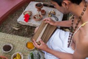Palmblattbibliotheken - was steckt hinter den geheimnisvollen Blättern? Foto: © Nila Newsom @ shutterstock