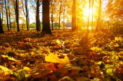 Wohlfühlen im Herbst - 6 Tipps zum Abschalten und Entspannen Foto: © irin_k @ shutterstock