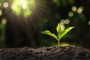 Spiritualität im Alltag leben: Unsere Top 2 Tipps Foto: © lovelyday12 @ shutterstock