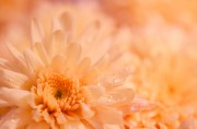 6 Bauchgefühle, die Sie nie ignorieren sollten Foto: © rosypatterns @ shutterstock