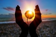 Seelenverträge: Liebe, Leben und Lektionen aus früheren Leben Foto: © BillionPhotos.com.jpeg @ AdobeStock
